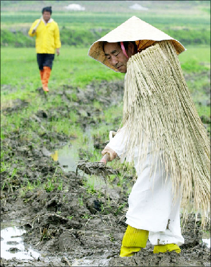 Historical straw jacket example